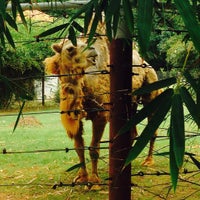 Photo taken at Jardim Zoológico by Luciana O. on 10/11/2015