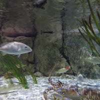 Photo taken at SEA LIFE Charlotte-Concord Aquarium by Dennis R. L. on 12/24/2018