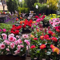 Photo taken at Urban Garden Center by Bethany C. on 4/23/2022