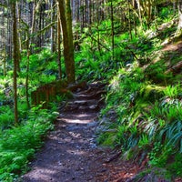 Photo taken at Discovery Park Loop Trail by Lucyan on 6/5/2020