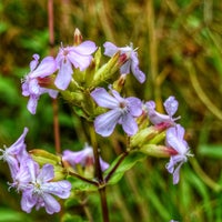 Photo taken at First Hill Park by Lucyan on 8/12/2020