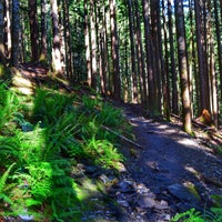 Photo taken at Discovery Park Loop Trail by Lucyan on 6/5/2020