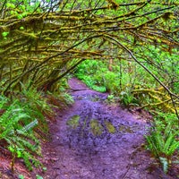 Photo taken at Discovery Park Loop Trail by Lucyan on 5/12/2020