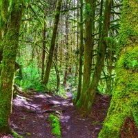 Photo taken at Discovery Park Loop Trail by Lucyan on 5/12/2020