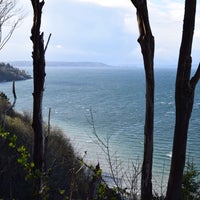 Photo taken at Discovery Park Loop Trail by Lucyan on 3/30/2020