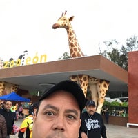 Photo taken at Zooleón by Armando C. on 11/24/2019