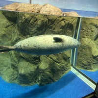 Photo taken at Enoshima Aquarium by Shandy L. on 3/16/2024