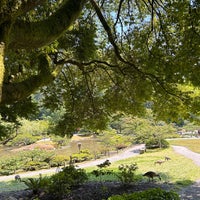 Photo taken at Seattle Japanese Garden by Jouko H. on 7/5/2023