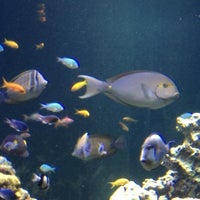 Virginia Aquarium Marine Science Center Oceanfront Photo Taken At Virginia Aquarium Amp Marine Science Center By Kıymet K