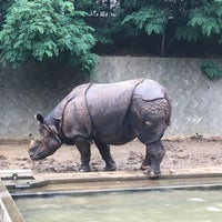 Photo taken at Rhinoceros by nyamn on 6/18/2018