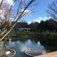 Photo taken at 郷土の森公園 修景池 by nyamn on 2/25/2017