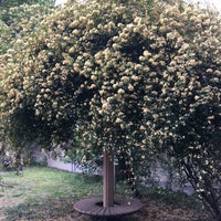 Photos At グリーンロード花南公園 西東京 0 Tips