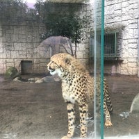 Photo taken at Cheetah by nyamn on 6/18/2018