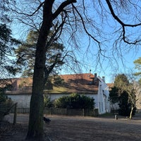 รูปภาพถ่ายที่ Jagdschloss Grunewald โดย Thorsten D. เมื่อ 2/28/2023