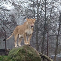 Photo taken at Odense Zoo by Ashish R. on 1/6/2019