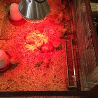 Aveve Garden Center In Lubbeek