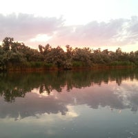 Поселок топольки. Топольки ростов. Топольки ростовская область азовский. Парк топольки каменск. Пляж топольки каменск-шахтинский.