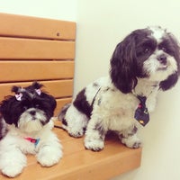 Banfield Pet Hospital Veterinarian In Clearwater