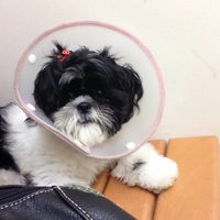 Banfield Pet Hospital Veterinarian In Clearwater