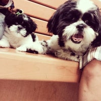 Banfield Pet Hospital Veterinarian In Clearwater