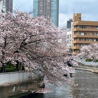 Photo taken at Monzen-nakacho Station by ちゅう吉 on 4/2/2023