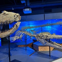 Das Foto wurde bei Vancouver Aquarium von Aleta am 2/9/2024 aufgenommen
