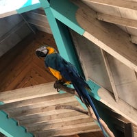 10/3/2021 tarihinde Nic R.ziyaretçi tarafından Wildlife World Zoo, Aquarium &amp;amp; Safari Park'de çekilen fotoğraf