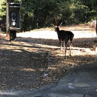 Photo taken at Uvas Canyon County Park by Haruko H. on 11/17/2019