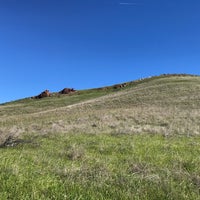 Photo taken at Coyote Hills Regional Park by Stello C. on 2/10/2024