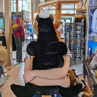 Photo taken at Wildlife Connection Gift Shop by Stello C. on 6/11/2022