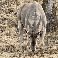 Photo taken at Wildlife Safari by Candace B. on 9/8/2021
