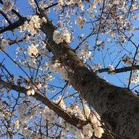 Photo taken at 千里中央公園 by nocomoco on 4/3/2019