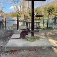 Photo taken at 五月山動物園 by nocomoco on 1/5/2024