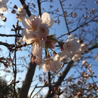 Photo taken at 千里中央公園 by nocomoco on 4/3/2019