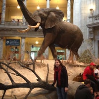 Photo taken at National Museum of Natural History by Bruna L. on 4/27/2013