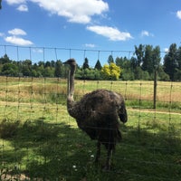 Foto scattata a Greater Vancouver Zoo da Yury M. il 7/18/2020