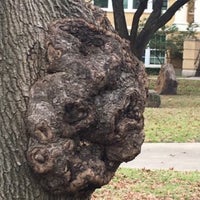 Photo taken at Texas Christian University by Joel S. on 12/17/2018