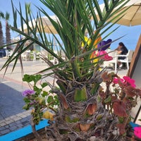 Das Foto wurde bei Palm Beach Cafe &amp;amp; Restaurant von ♈ am 4/26/2022 aufgenommen