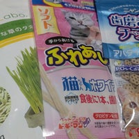 ロイヤルホームセンター 相模原橋本店 Mobiliario Utensilios Em 相模原市