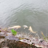 鹿野城跡公園 鳥取市 鳥取県