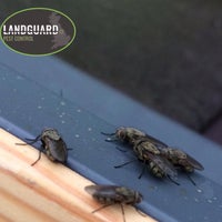 Photo prise au Landguard Pest Control par Martin C. le3/24/2019
