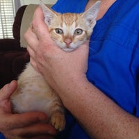 Photos At All Pets Medical Center Altus Ok