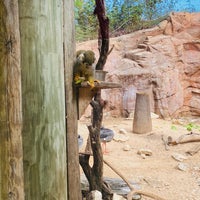 Photo taken at Cameron Park Zoo by Steve P. on 10/24/2020