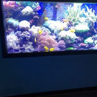 Photo taken at Aquarium of Niagara by Anas on 7/19/2021