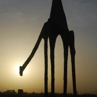 Camel Roundabout دوار الجمال أبحر Camel Roundabout دوار الجمال أبحر
