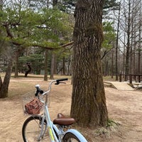 Photo taken at Nami Island by 🦉Raghad on 4/4/2024