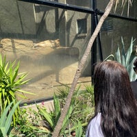 Photo taken at Artis Aquarium by Anita on 8/2/2022