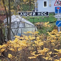 Photo taken at Администрация МО «Посёлок Лисий Нос» by Аня А. on 10/11/2014