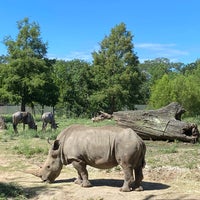 Photo taken at Audubon Zoo by Dani K. on 7/8/2023