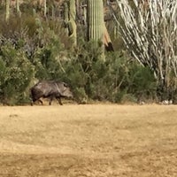 Foto tirada no(a) Starr Pass Golf Suites por Doug M. em 2/12/2016